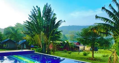 RevTree Dark Forest Inn