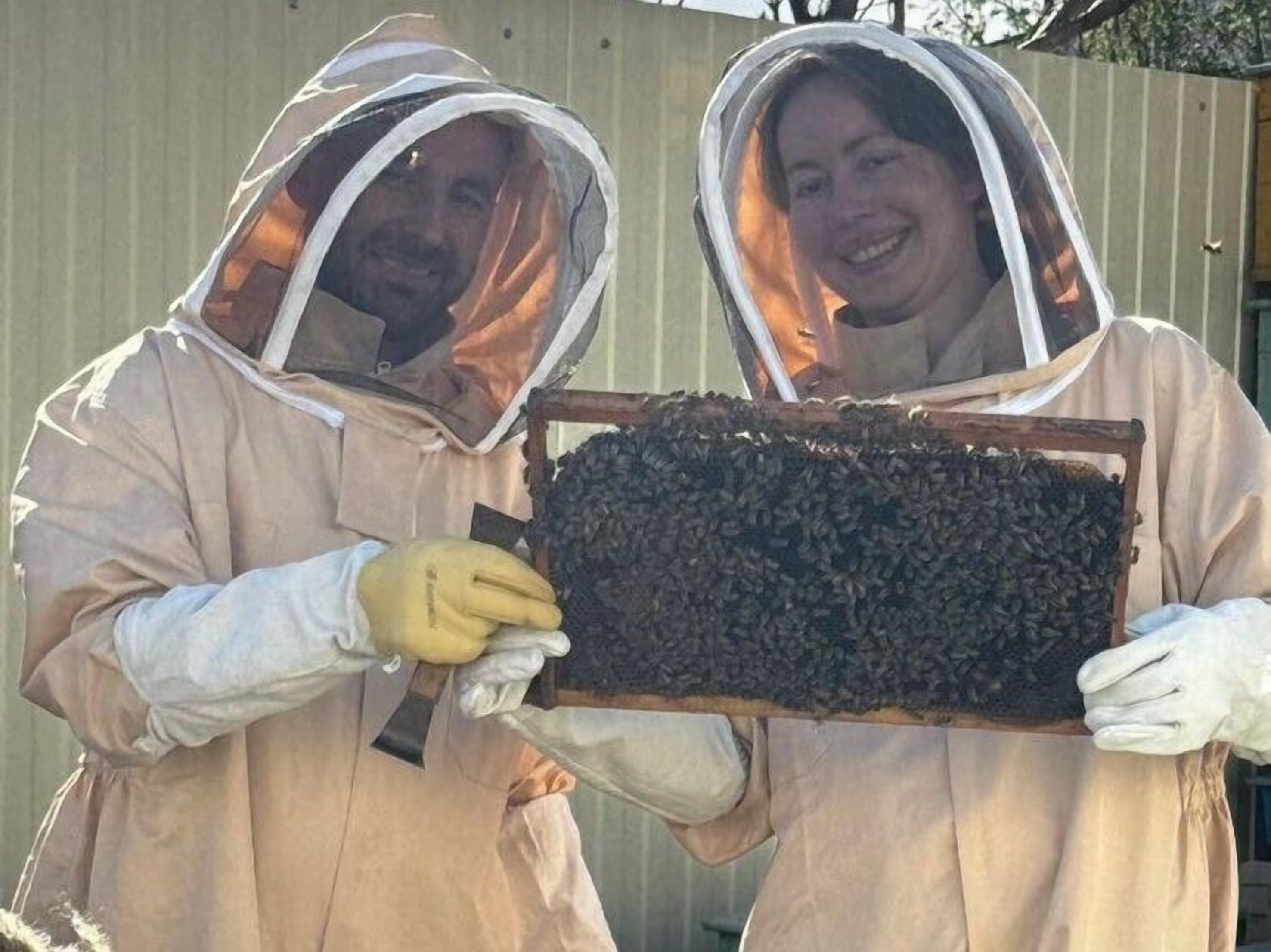 Two individuals in protective suits holding a beehive.