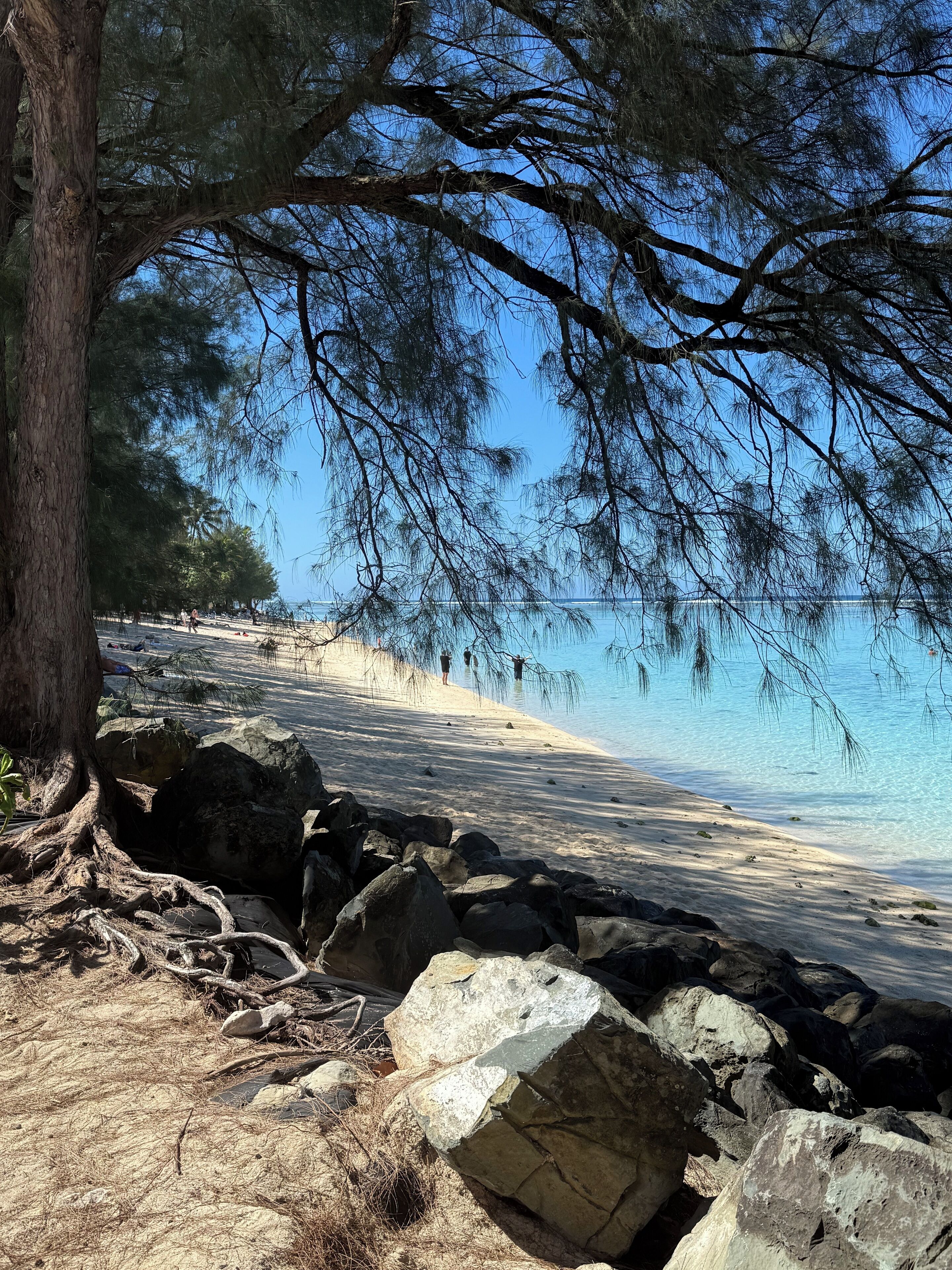 Sun loungers, beach towels