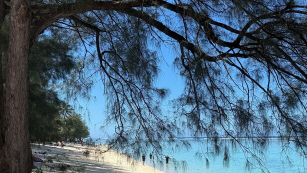 A beach with large rocks and trees, a clear sky, and a few people in the distance.