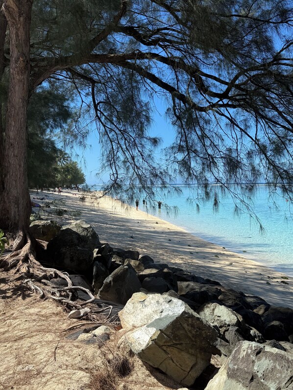 Sun loungers, beach towels