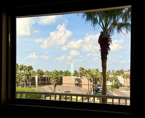 A window view of a building with palm trees, a clear sky, and a distant tall structure.