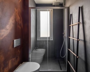 Shower, hair dryer, bidet, towels
