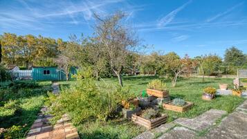 Áreas de la propiedad