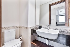 Chuveiro, secador de cabelo, toalhas de banho, papel higiênico