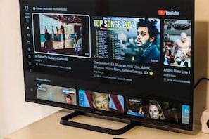 Television