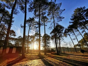 Exterior - bungalow (Léon)
