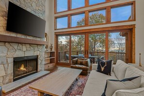 Smart TV, fireplace, books