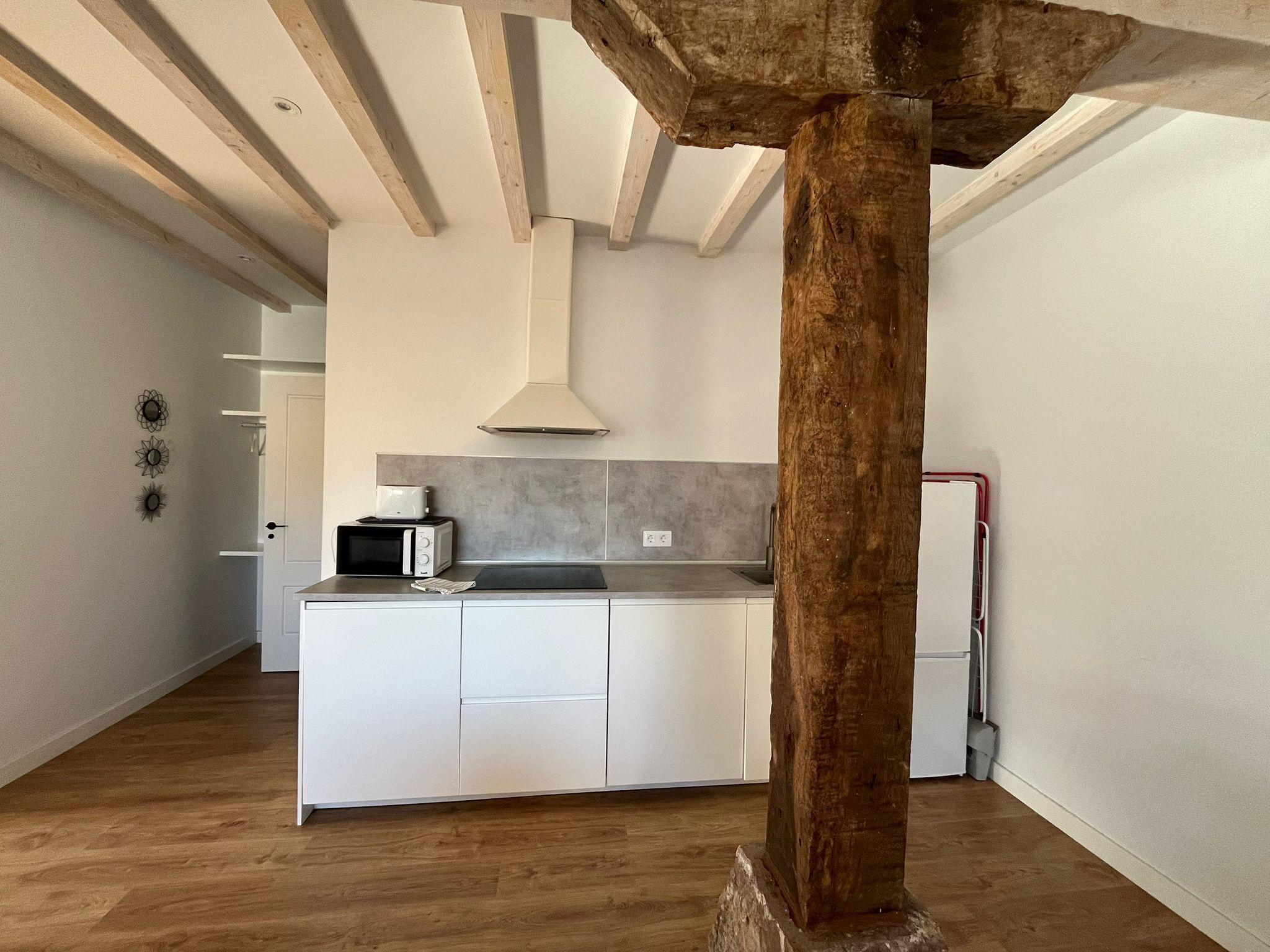 Deluxe-huoneisto, näköala puutarhaan | Yksityinen keittiö | Jääkaappi, mikroaaltouuni