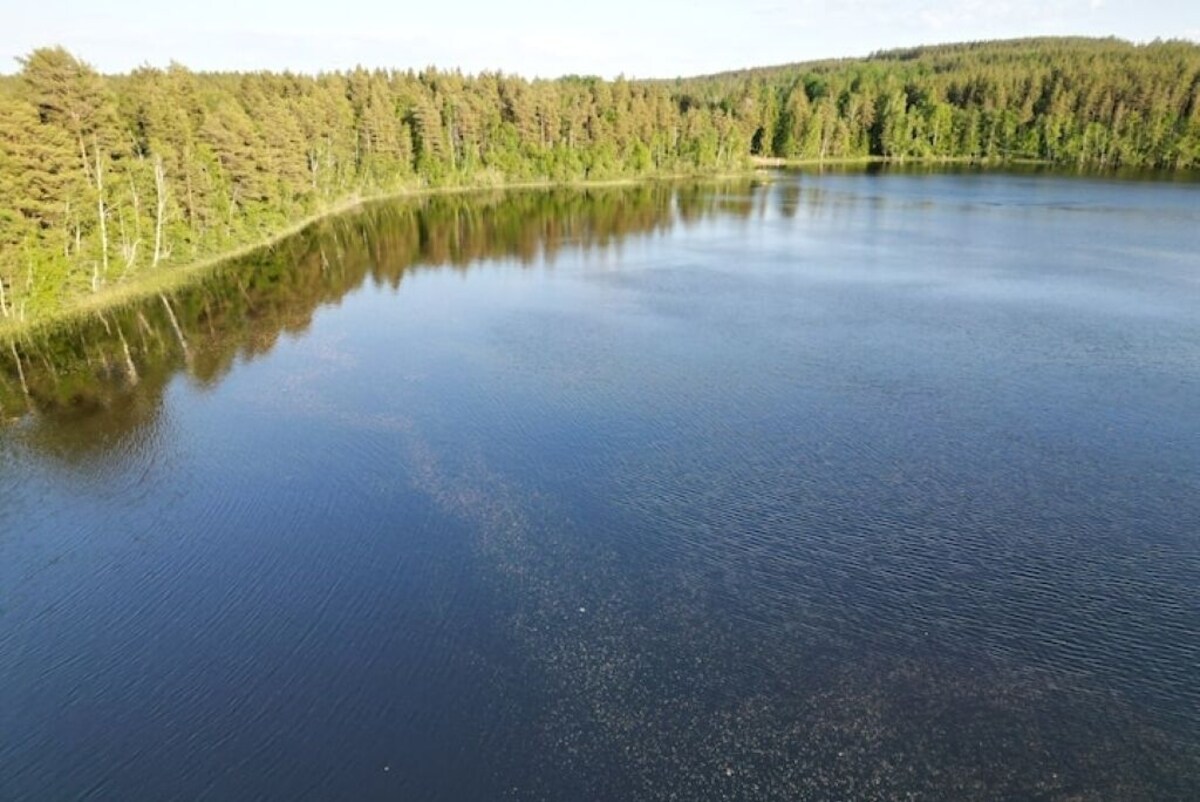 Värdens profilbild