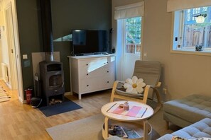 Smart TV, fireplace, books