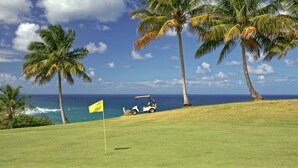 A golf course with a flag, palm trees, and a view of the ocean.