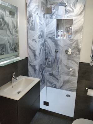 Shower, hair dryer, towels, soap