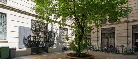 A courtyard with a tree, bicycles, and a building with large windows.