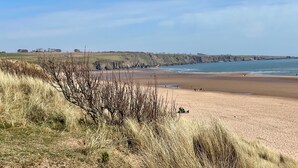 Un paysage côtier caractérisé par une plage de sable, des dunes herbeuses et des falaises.