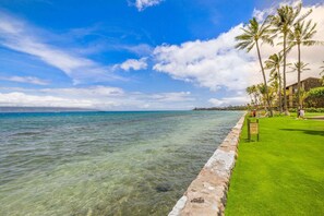 A coastal view with clear water, a stone seawall, and palm trees.