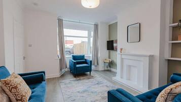 TV, fireplace, books