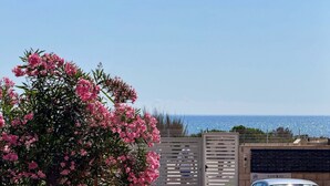 Blick auf die Küste mit einem blühenden Baum in Rosa und blauem Himmel.