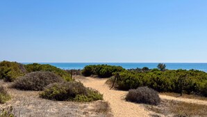 Ein sandiger Pfad führt zu einem Strand mit dichter Vegetation und blauem Himmel.