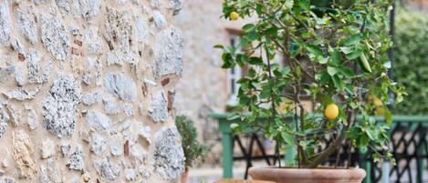 Terrain de lâhĂ©bergement