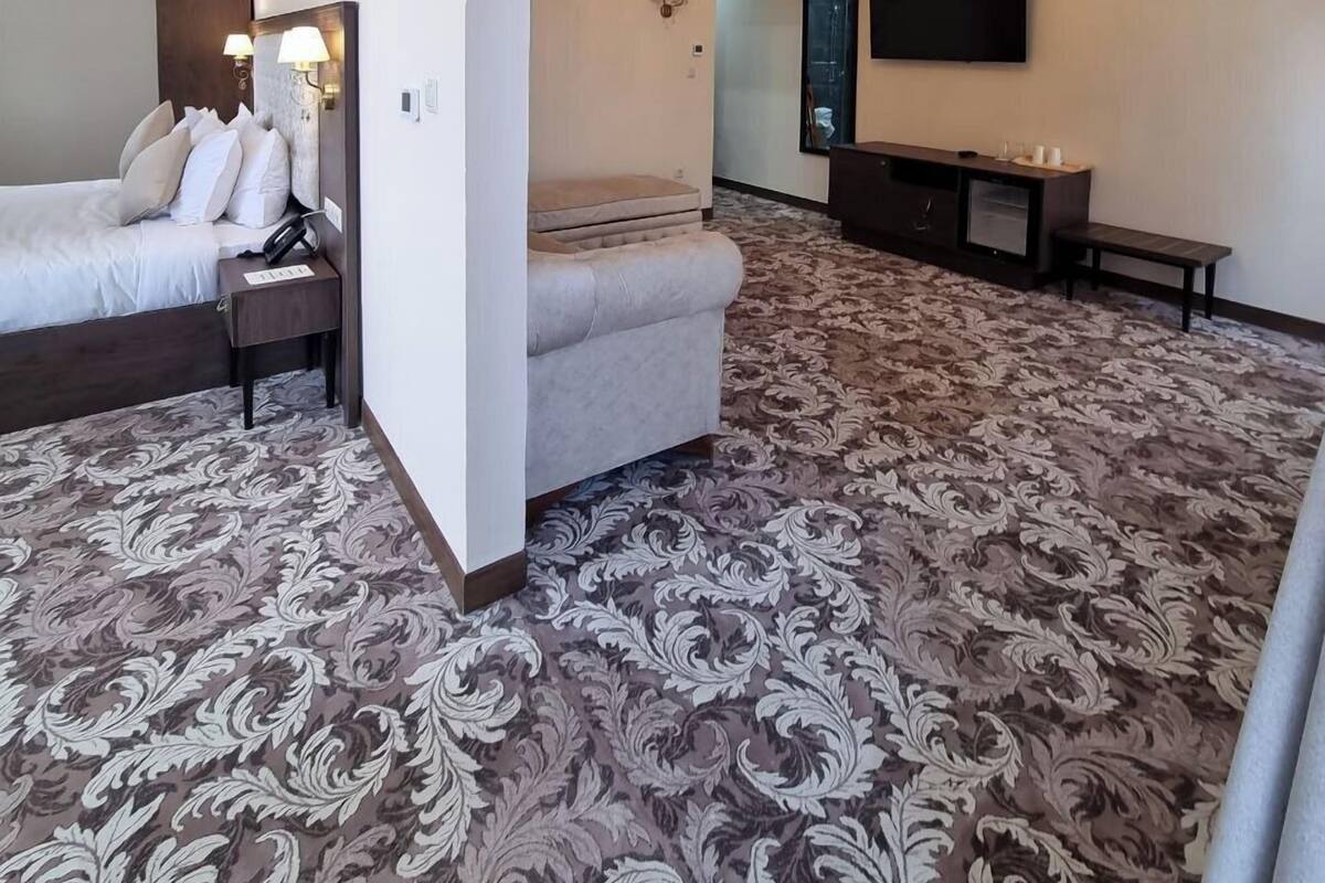 Une chambre d’hôtel avec un lit, un canapé, une télévision et une moquette à motifs.