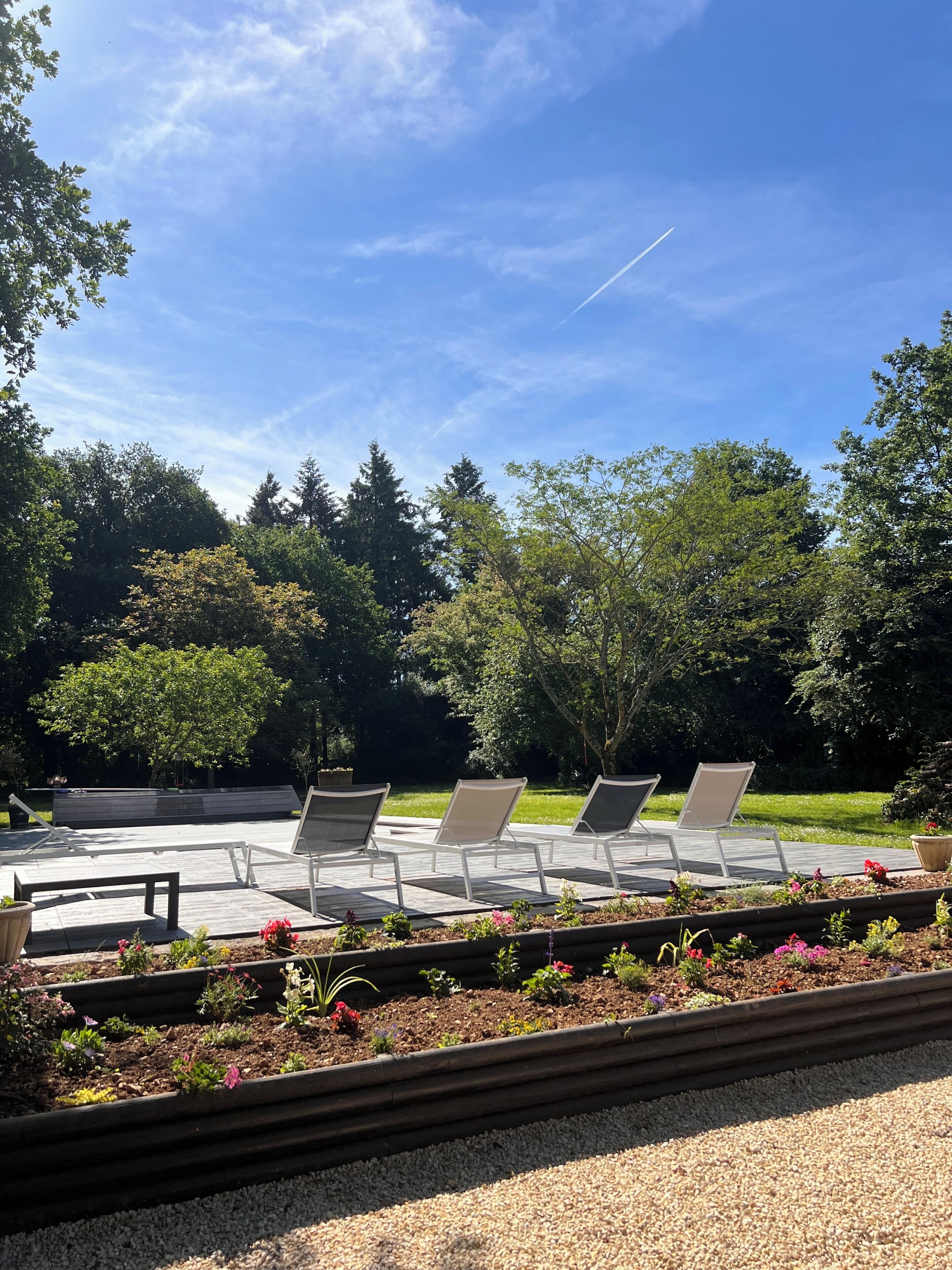 Sun terrace & garden