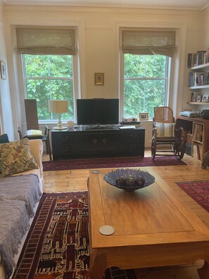 Televisión, chimenea