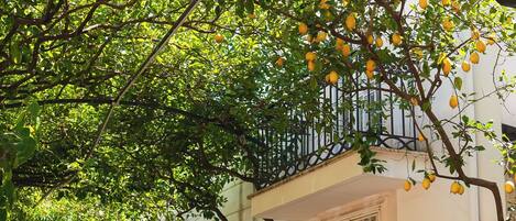 Dobbeltrom – comfort, hageutsikt | Utsikt fra rommet