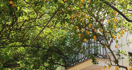 Villa Magnolia