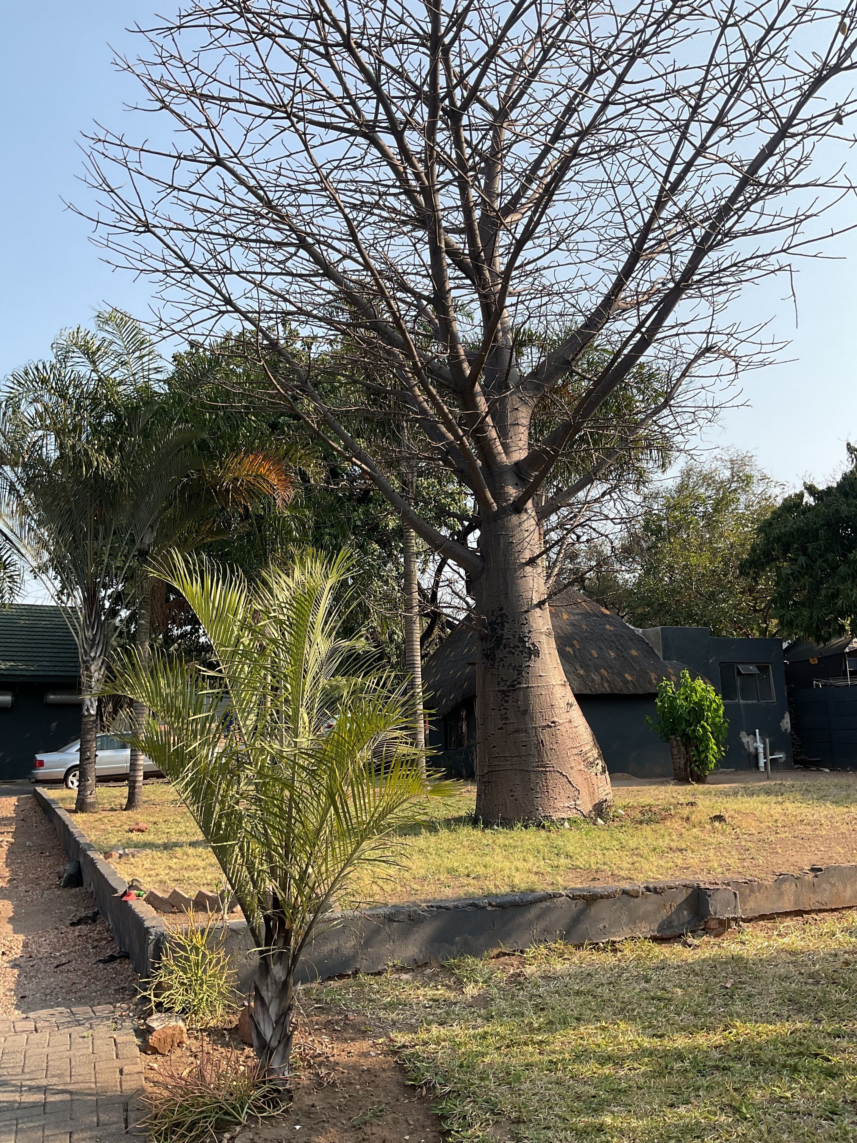 Basic Double Room, Garden View | View from room