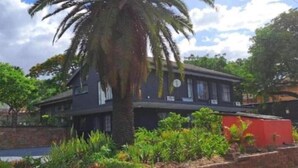 A two-story building with a dark facade, a palm tree in the foreground, and a brick wall with greenery. - Bothabelo Lodge (Phalaborwa)