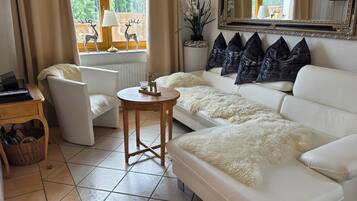 TV, fireplace, DVD player, stereo