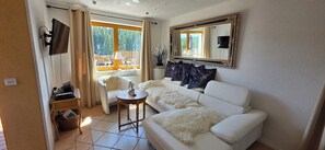 TV, fireplace, DVD player, stereo