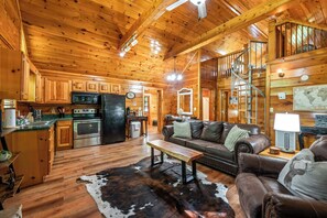 Télévision, cheminée, livres, espaces bureaux