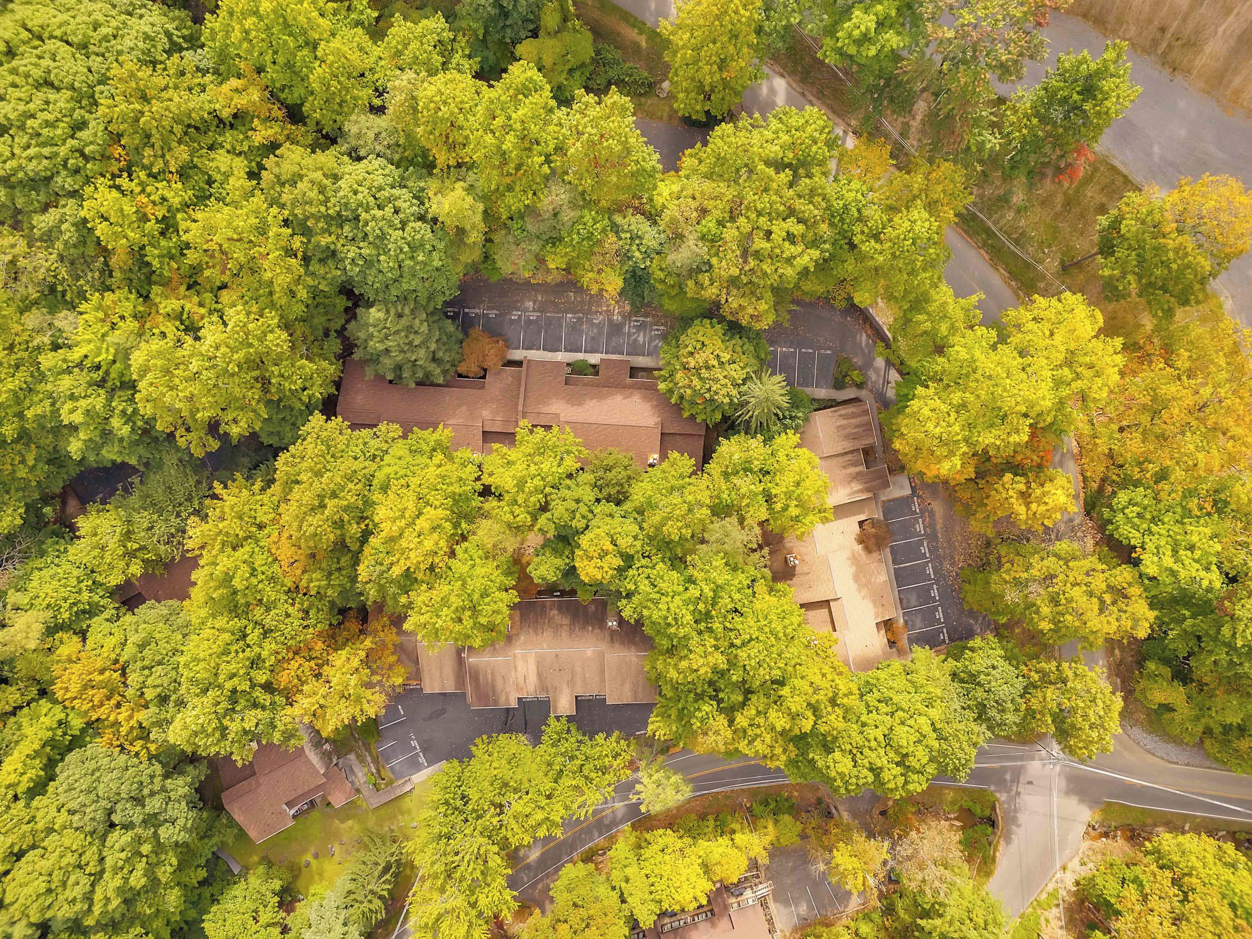 Oversigtsbillede af et boligområde med flere bygninger omgivet af frodig vegetation.