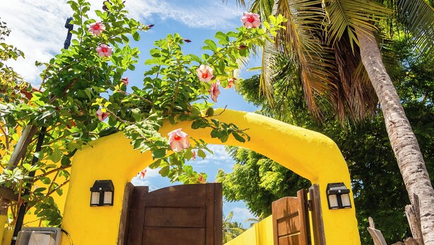 A yellow archway with a wooden door, surrounded by lush greenery and pink flowers. - Casa Amarela em Icaraí de Amontada (Amontada)