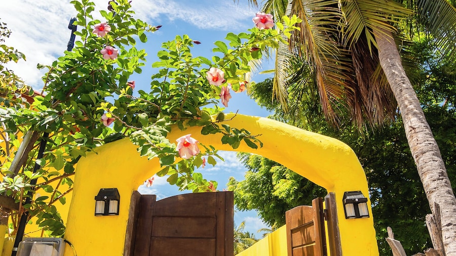 Casa Amarela em Icaraí de Amontada