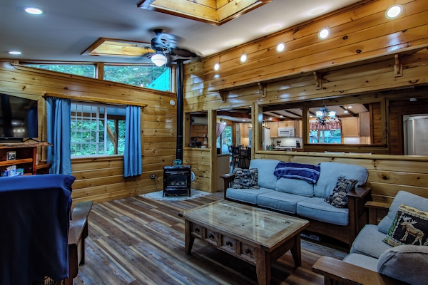 TV connectée, cheminée, livres