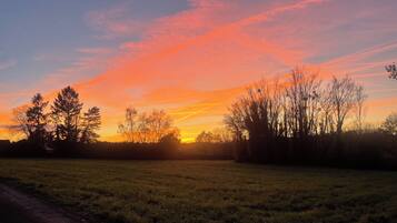 A sunset over a grassy field with trees silhouetted against the sky.
