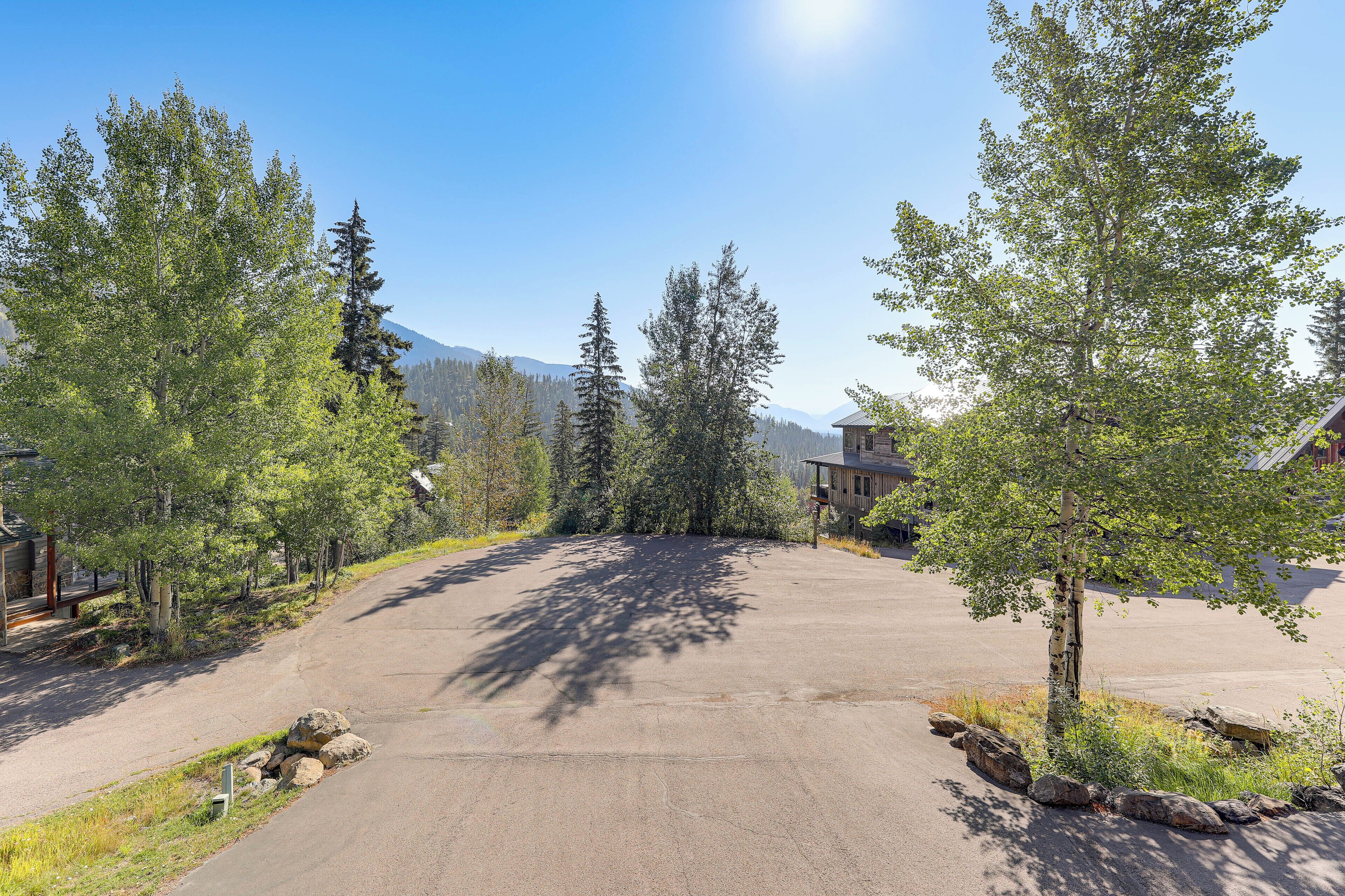 A paved driveway with trees on either side, a clear sky, and mountains in the background.