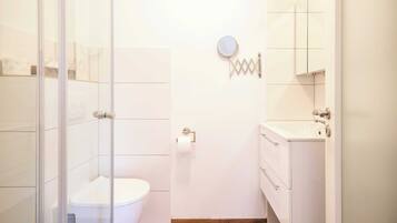 A bathroom with a glass shower enclosure, a toilet, a sink, and a mirror.