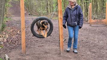 Eine Person steht neben einer Taubenschaukel in einem bewaldeten Gebiet.
