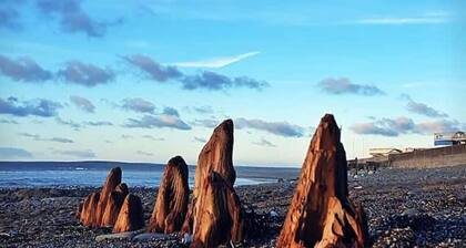 Spacious Modern Apartment with Sea Views in Prime Beachside Location