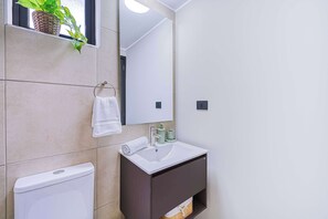 Ducha, secador de pelo y toallas
