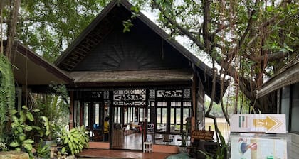 No8 Double Suite, Rainbow Arokaya Welnes