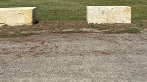 A grassy area with a large tree and a bench, overlooking a body of water with a distant island. - Trails, Tails, & Scales - This listing has two Cabins Rental (Burkeville)