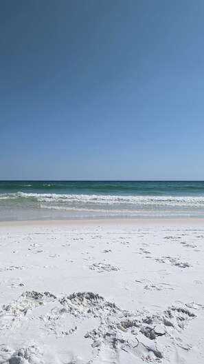 بالقرب من الشاطئ