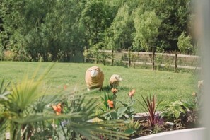 Áreas de la propiedad