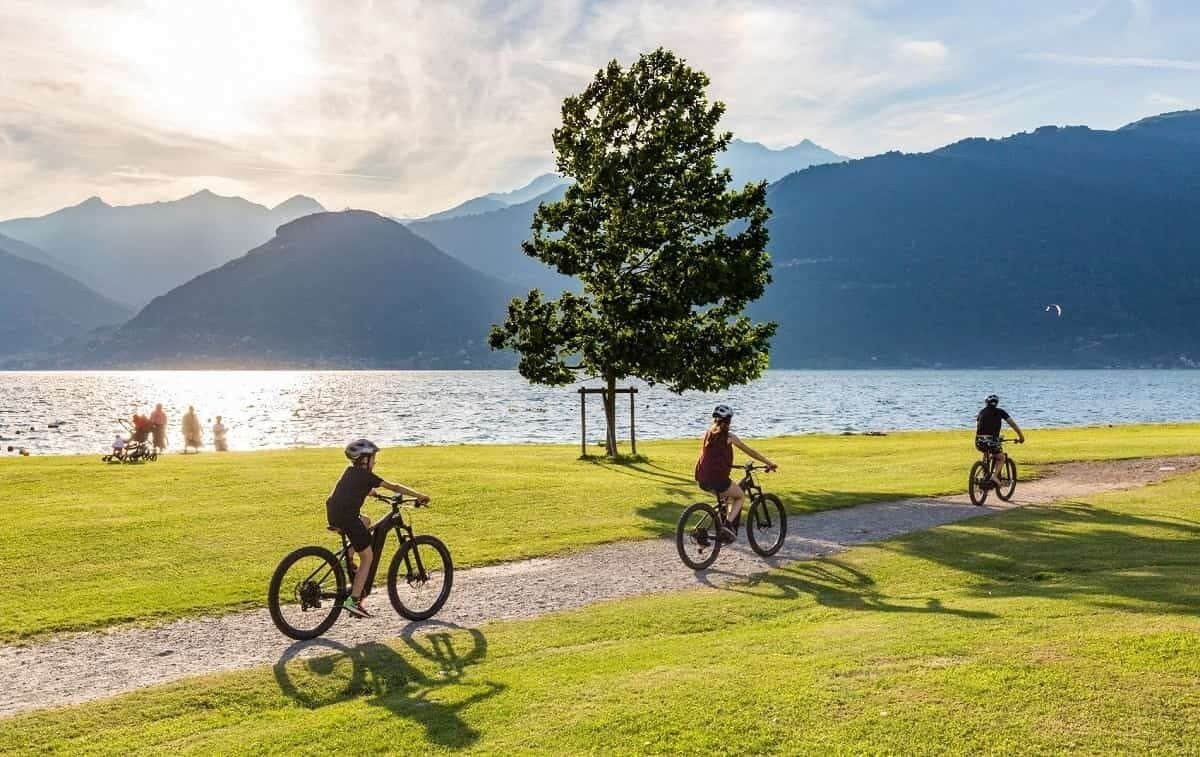 Un sendero junto a un lago, con ciclistas, un gran árbol y montañas al fondo.