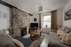 Smart TV, fireplace, books